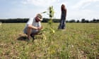 uk-hemp-farmers-‘devastated’-after-being-forced-to-destroy-crop