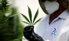 medical-cannabis-companies-cleared-for-london-stock-market