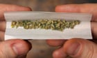 call-for-uk-prisons-to-trial-free-cannabis-to-see-if-it-cuts-drug-deaths